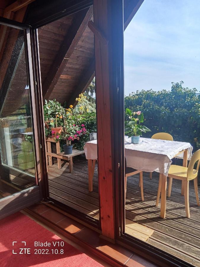 Ferienwohnung Zur Kirschblute Purbach am Neusiedlersee Exterior photo